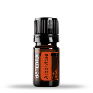 Aceite esencial doterra arborvitae en salud esencial Quito