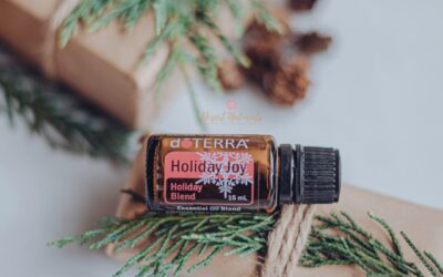 Mezclas difusoras con el aceite esencial holiday joy