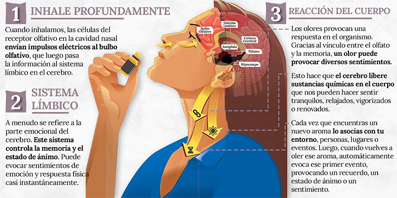 Aceites esenciales y neurociencia en salud esencial