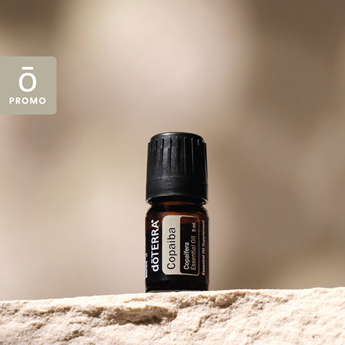 copaiba Aceite esencial doterra Clavo en Ecuador Colombia México Chile USA