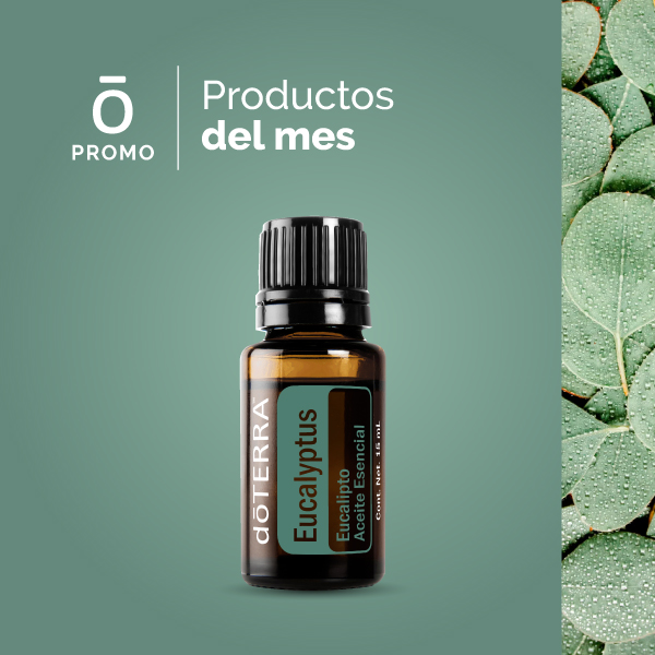 Aceite esencial de Ciprés en Salud Esencial Ecuador Colombia Chile México Estados Unidos