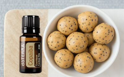 Bolitas de proteína con aceite esencial de Copaiba