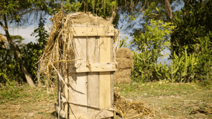 donde se cultivan y procesan los aceites doTERRA5